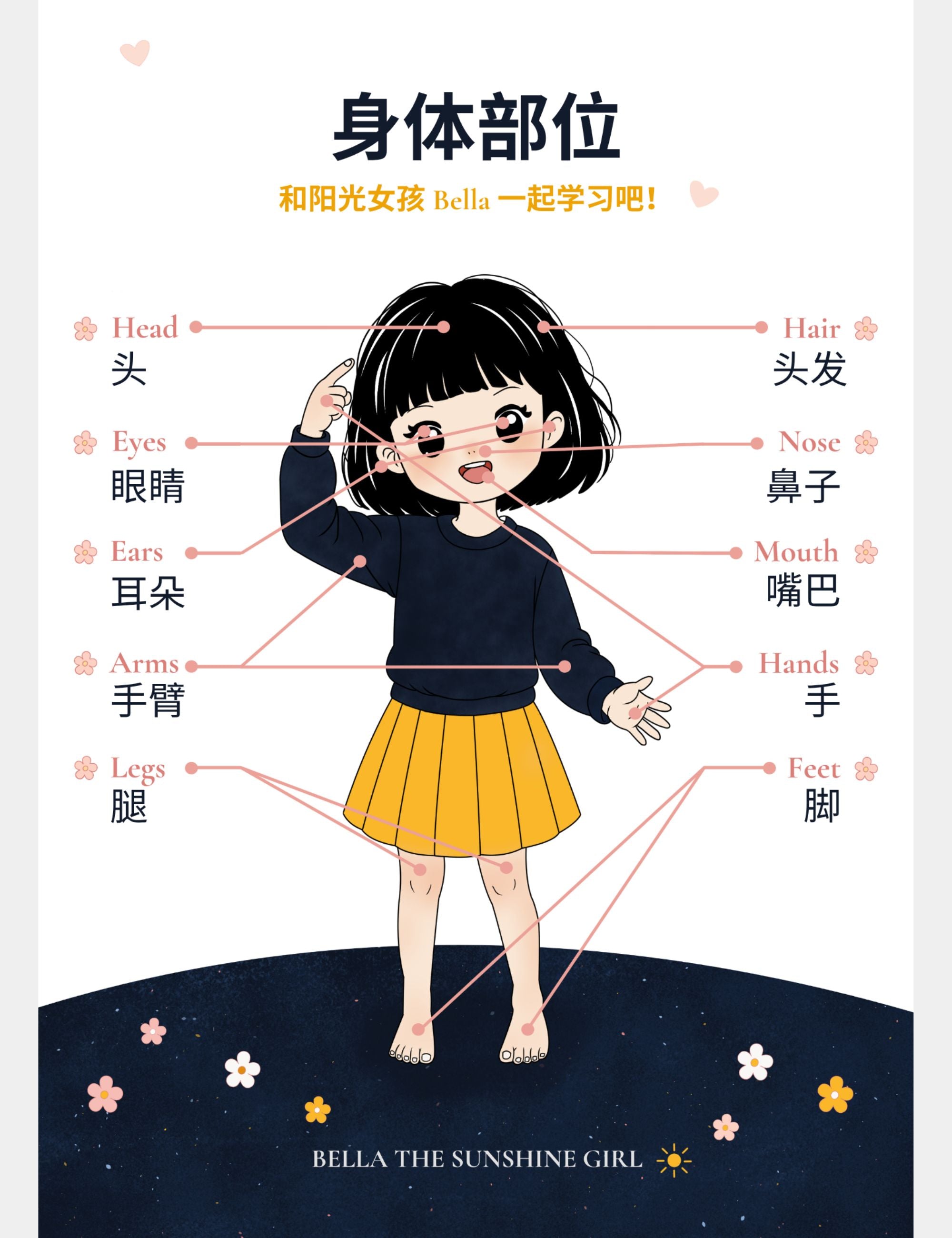 Bella the Sunshine Girl bilingual English and Simplified Chinese body parts poster for children featuring 头, 头发, 眼睛, 鼻子, 耳朵, 嘴巴, 手臂, 手, 腿, and 脚.