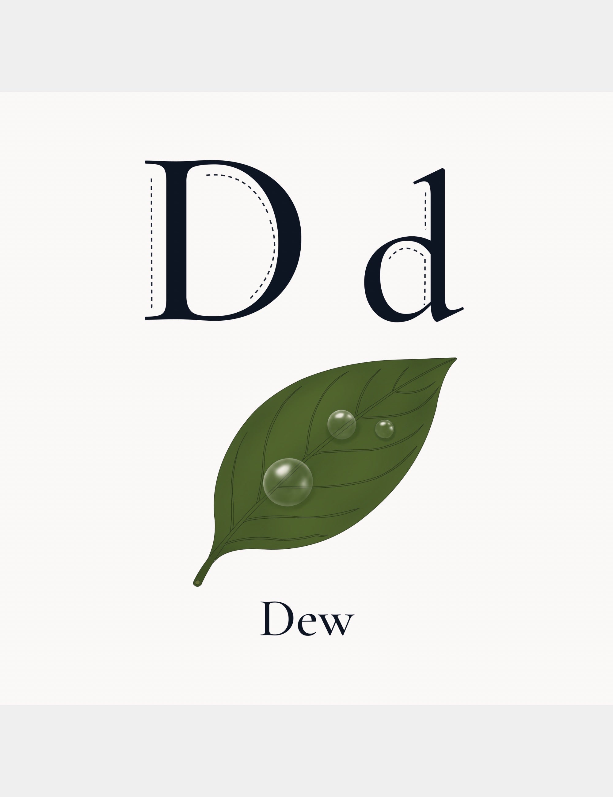 Alphabet learning page from Bella the Sunshine Girl: ABC Book featuring the letter D with dew drops on a green leaf and the word Dew.