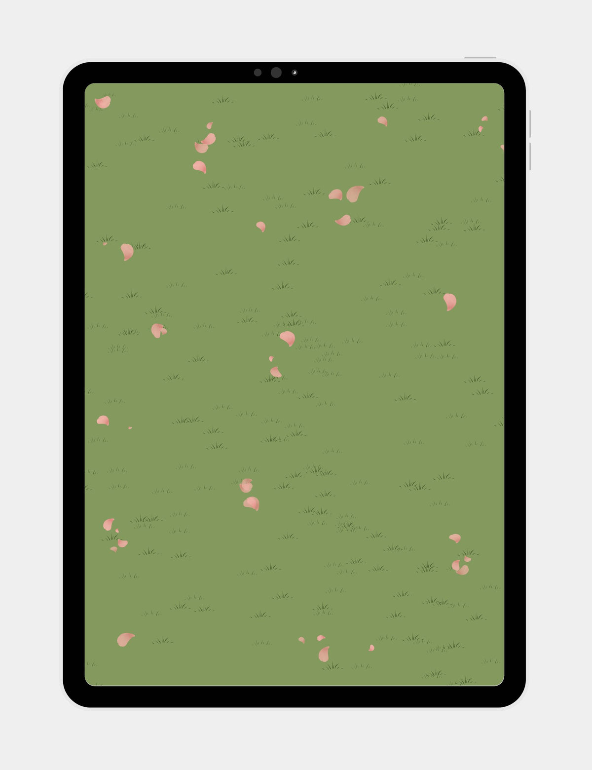 Free Mewmiwmiw tablet wallpaper featuring soft pink sakura petals scattered across a minimalist green grassy meadow.